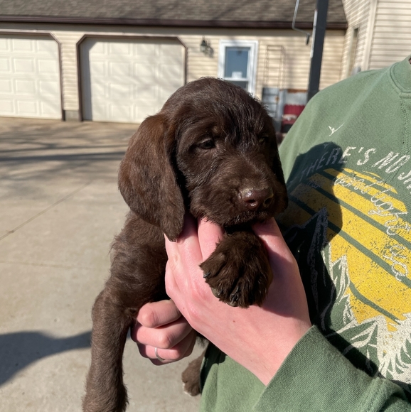 Meet your Posher, Crystal - Picture 12 of 15